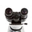 MICROSCOPIO BINOCULAR SIEDENTOPF VE-B6